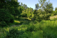 20190629_153645